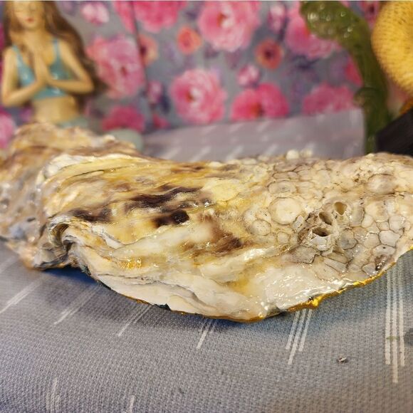 DECOUPAGE OYSTER SHELL DECOUPAGE OYSTER OCEAN SCENE TRINKET DISH - Picture 10 of 12